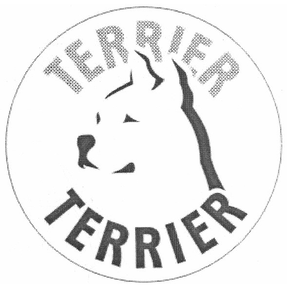 terrier