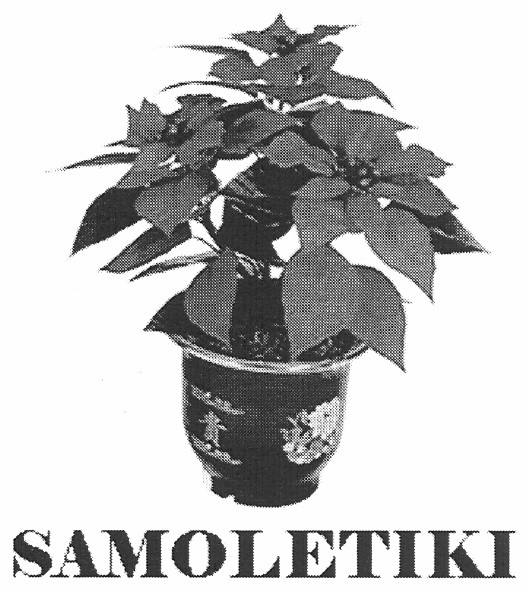samoletiki