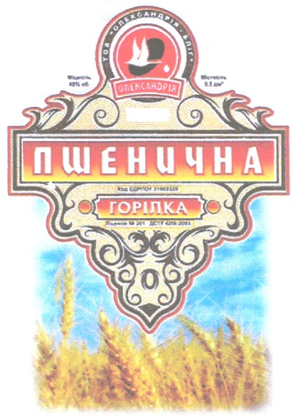 олександрія бліг
