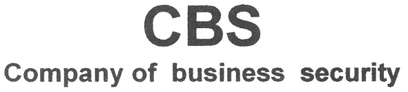 company of business security