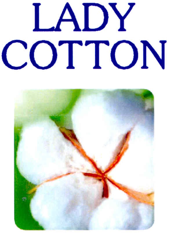 lady cotton