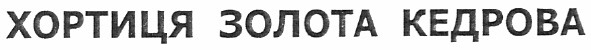хортиця золота кедрова
