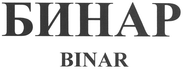 бинар binar