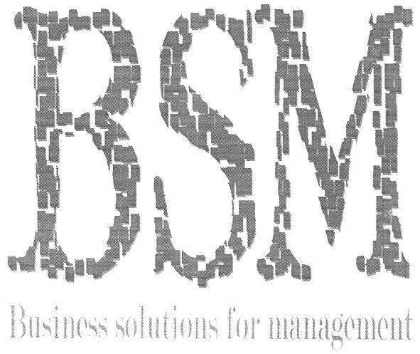 bsm business solutions for management
