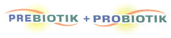 prebiotik + probiotik