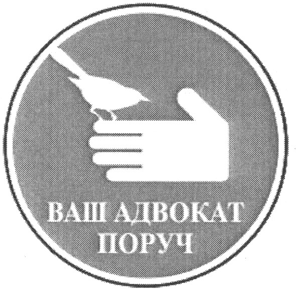 ваш адвокат поруч