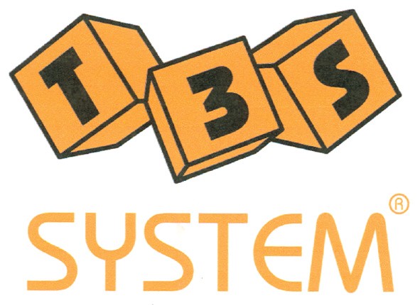 t3s system