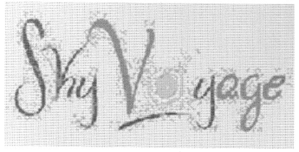 sky voyage