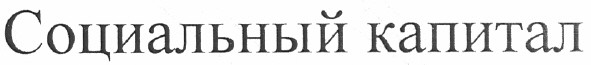 социальный капитал