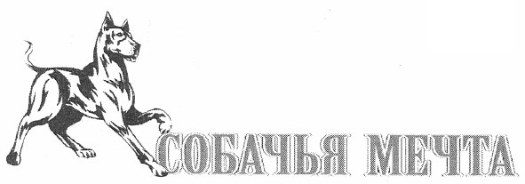собачья мечта