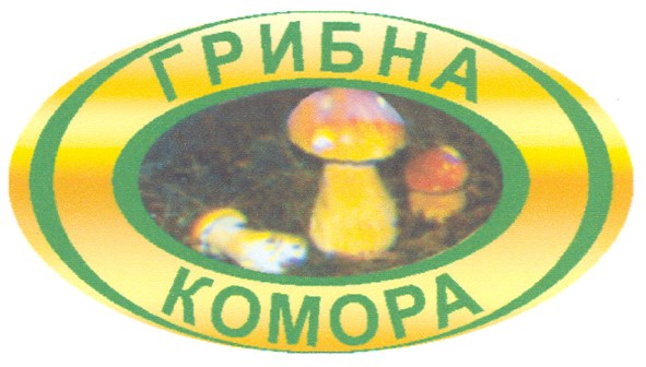 грибна комора