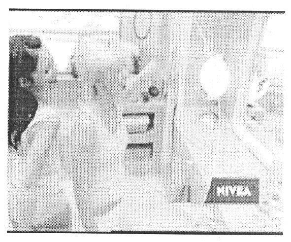 nivea