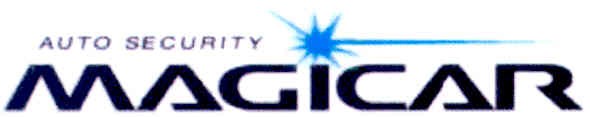 auto security magicar