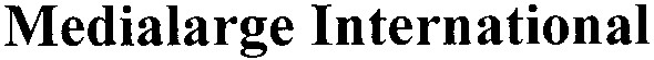 medialarge international