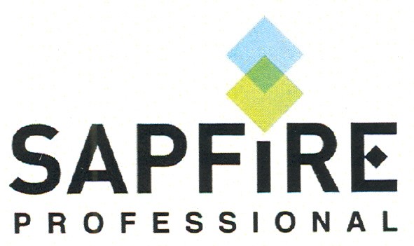 sapfire professional