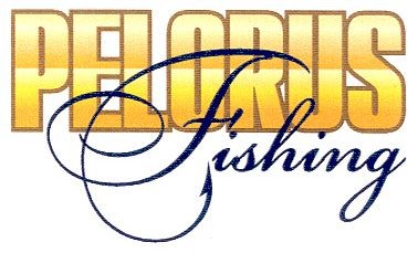 pelorus fishing