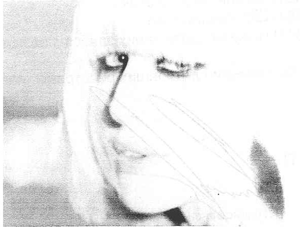 Фігуративна марка № m201009856