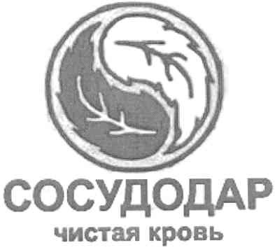 сосудодар чистая кровь