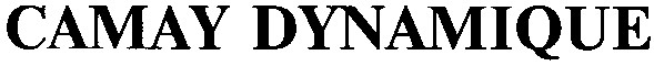 camay dynamique
