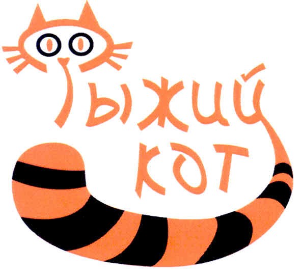 рыжий кот
