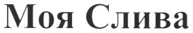 моя слива
