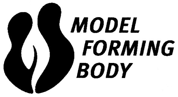 model forming body