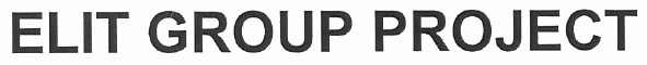 elit group project