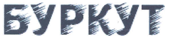 буркут
