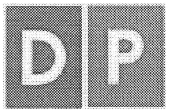 dp