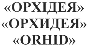 орхідея