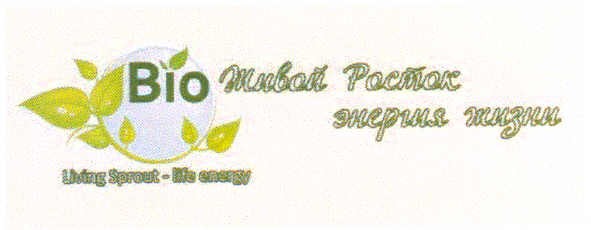 living sprout - big energy