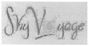 sky voyage