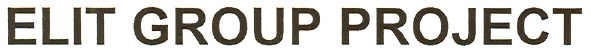 elit group project