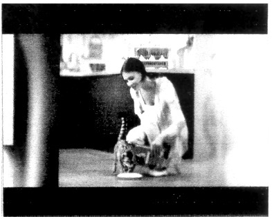 Фігуративна марка № m201013594