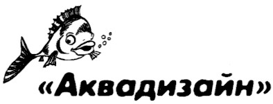 аквадизайн