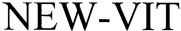 new-vit