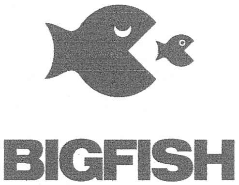 bigfish
