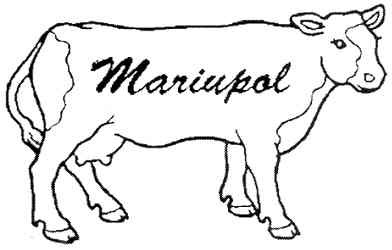 mariupol