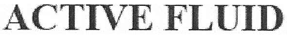 active fluid
