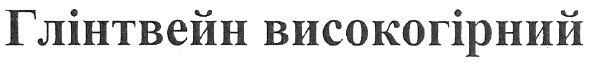 глінтвейн високогірний