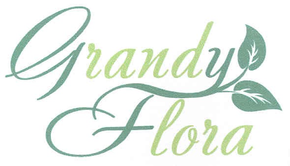 grandy flora