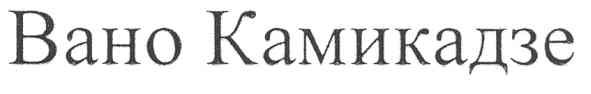 вано камикадзе