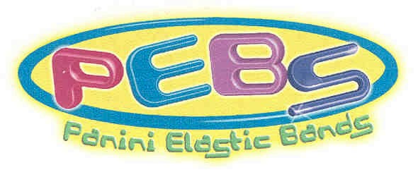 pebs panini elastic bands