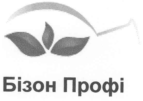 бізон профі