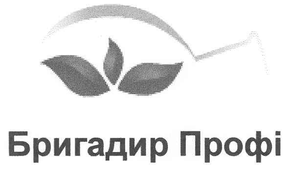 бригадир профі