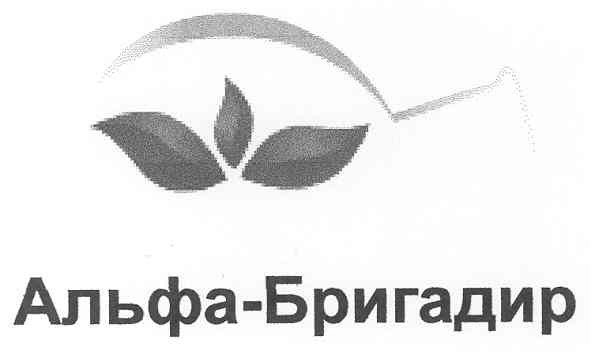 альфа-бригадир