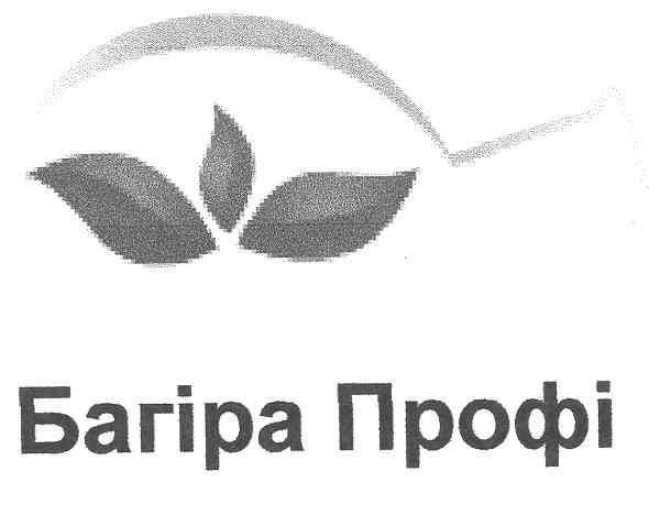 багіра профі