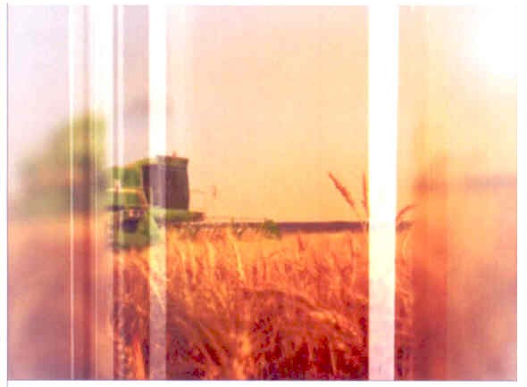 Фігуративна марка № m201015506