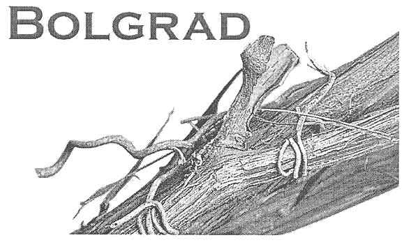 bolgrad