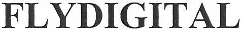 flydigital
